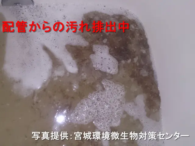 風呂釜追い焚き配管クリーニングサービスの画像