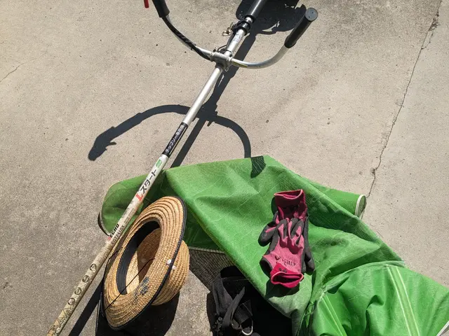 草むしり(手作業） 草刈り　2名作業サービスの画像