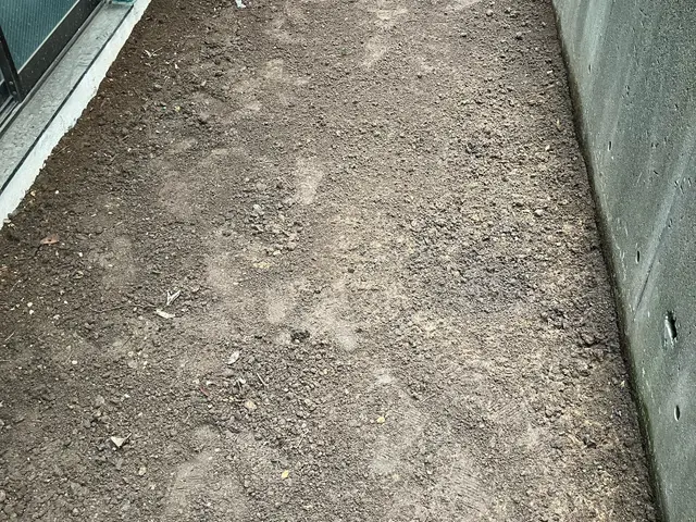 ★お庭を綺麗に！★お立ち会い無し◎アパート、お墓等対応◎対応エリア外ご相談◎★サービスの画像