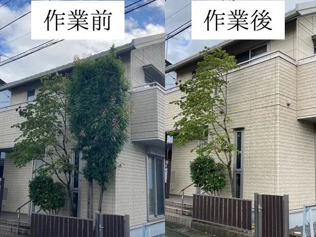 仕事の早さ◎クレカ対応OK◎丁寧な作業◎庭木1本からでもお任せくださいサービスの画像