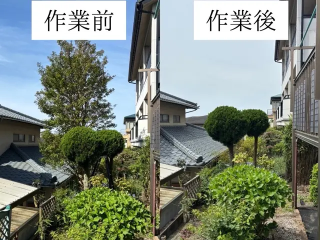 仕事の早さ◎クレカ対応OK◎丁寧な作業◎庭木1本からでもお任せくださいサービスの画像