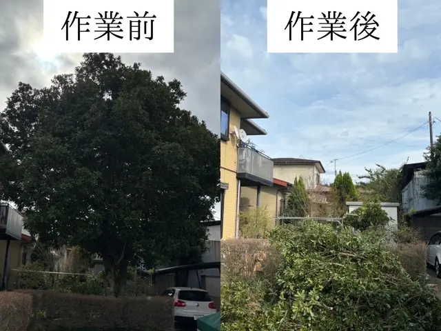 仕事の早さ◎クレカ対応OK◎丁寧な作業◎庭木1本からでもお任せくださいサービスの画像