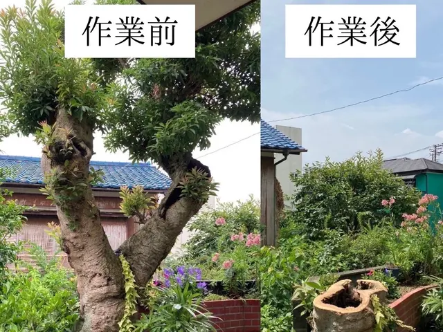 仕事の早さ◎クレカ対応OK◎丁寧な作業◎庭木1本からでもお任せくださいサービスの画像