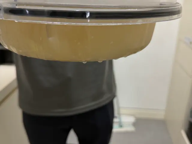 【マットレスクリーニング】土日祝日OK ダニの死骸や埃・シミや嫌な匂いを除去サービスの画像