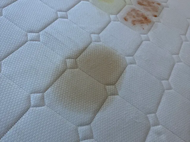 【マットレスクリーニング】土日祝日OK ダニの死骸や埃・シミや嫌な匂いを除去サービスの画像