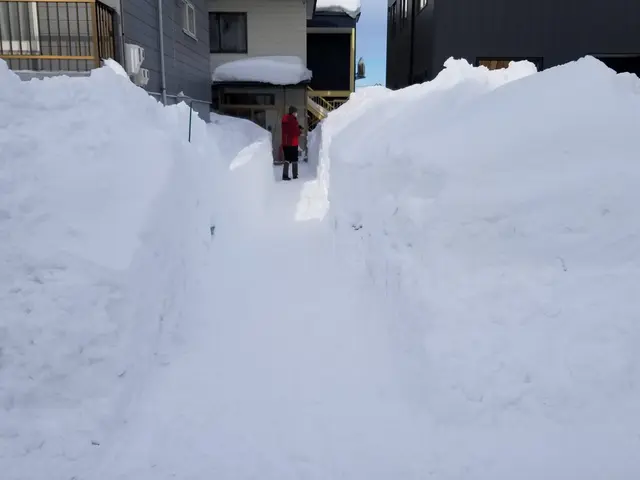 プロの技術でご満足いただけるように心を込めて作業いたしますサービスの画像