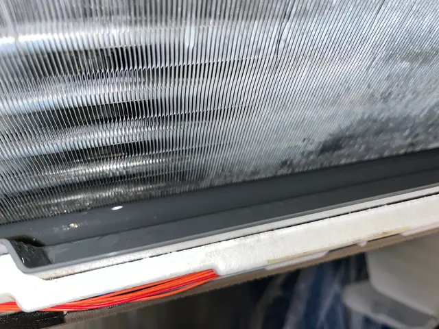 【年末大掃除キャンペーン】今年の汚れ、今年のうちに！12/31までサービスの画像