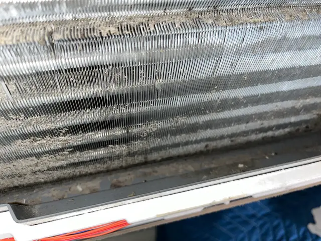 【年末大掃除キャンペーン】今年の汚れ、今年のうちに！12/31までサービスの画像