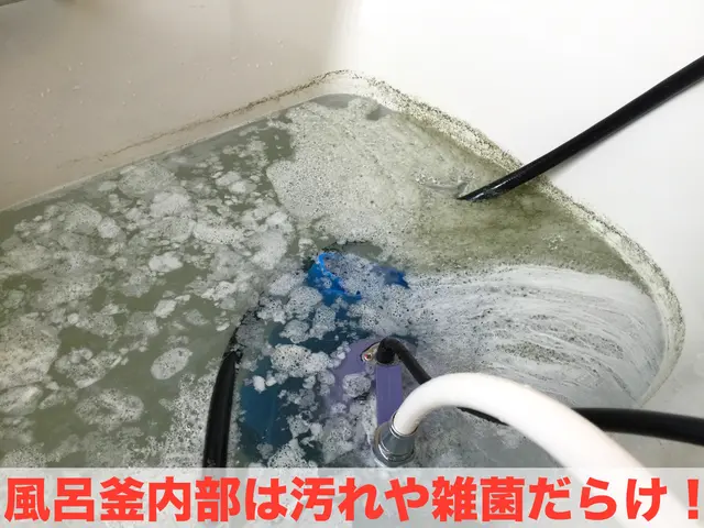 作業前後の細菌検査付き！汚れの除去は勿論、感染症対策で安心・安全なバスタイムを！サービスの画像