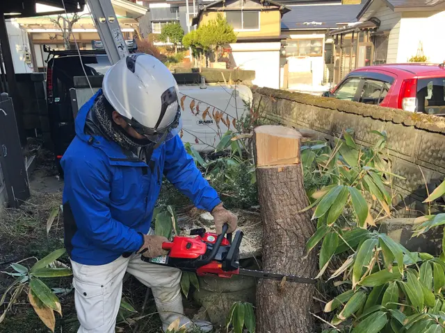 小さな木1本から当社にお任せください。7M以下歓迎！サービスの画像