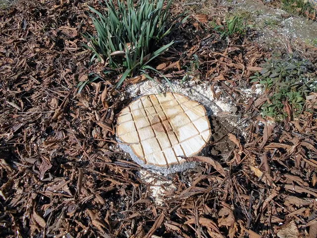 クレーン車所有の為、柔軟な作業できます　ご依頼お待ちしてます。サービスの画像