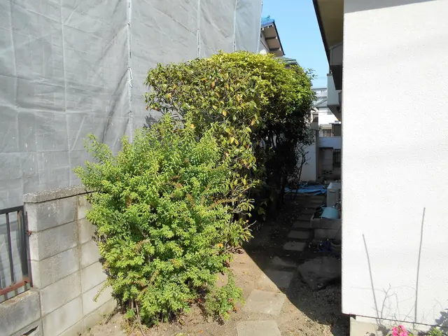 クレーン車所有の為、柔軟な作業できます　ご依頼お待ちしてます。サービスの画像