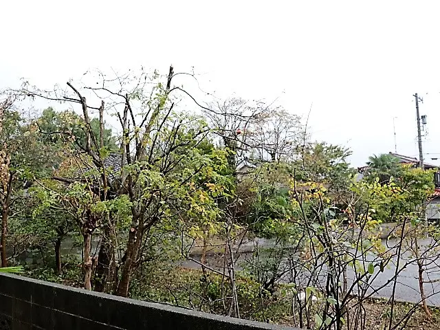 【松の木もお任せ！】歴20年！一級造園技能士が丁寧にご対応！庭のお悩み相談もOKサービスの画像