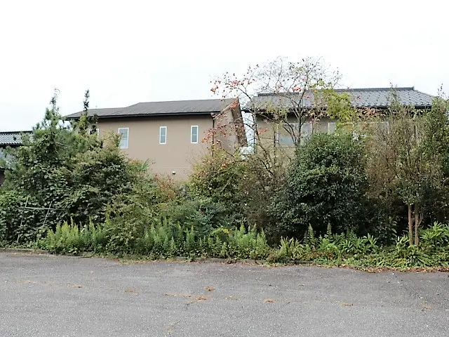 【松の木もお任せ！】歴20年！一級造園技能士が丁寧にご対応！庭のお悩み相談もOKサービスの画像