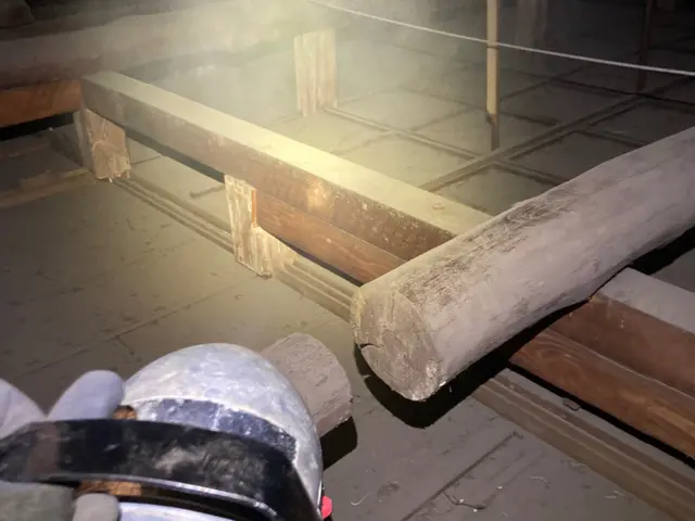 ←店長の私が駆除します。ネズミ施工実績1000件！【調査見積無料】東京/神奈川サービスの画像