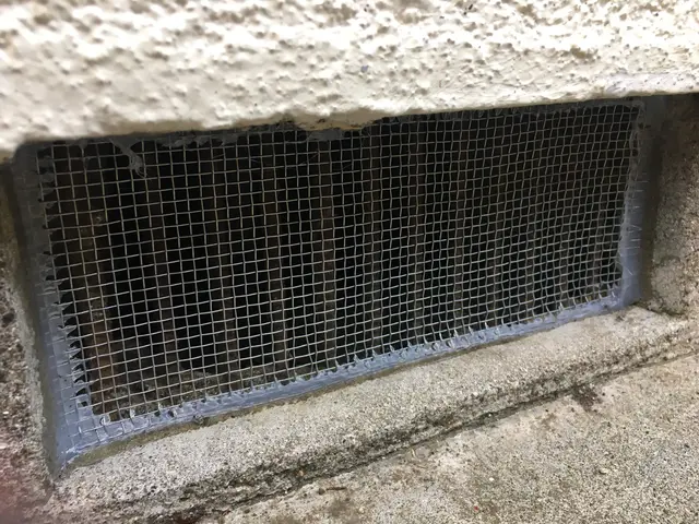 ←店長の私が駆除します。ネズミ施工実績1000件！【調査見積無料】東京/神奈川サービスの画像