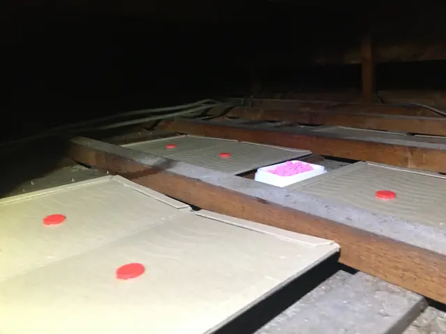 ←店長の私が駆除します。ネズミ施工実績1000件！【調査見積無料】東京/神奈川サービスの画像