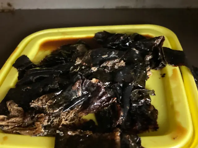 【主婦の味方】プロの技術で頑固な油汚れを徹底洗浄致します！サービスの画像