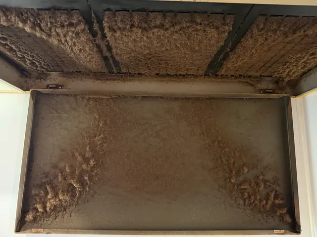 梅雨前に清掃しませんかサービスの画像