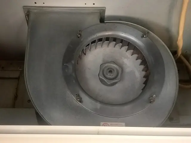 2月キャンペーン開催中★￥12000➝￥10000サービスの画像