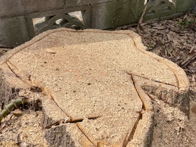 【業歴30年の実績】年中無休◎女性スタッフ同行可◎駐車場代当店負担サービスの画像