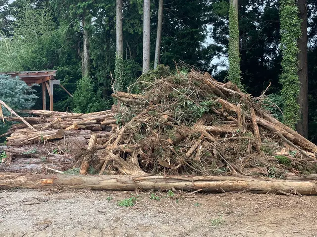 【業歴30年の実績】年中無休◎女性スタッフ同行可◎駐車場代当店負担サービスの画像