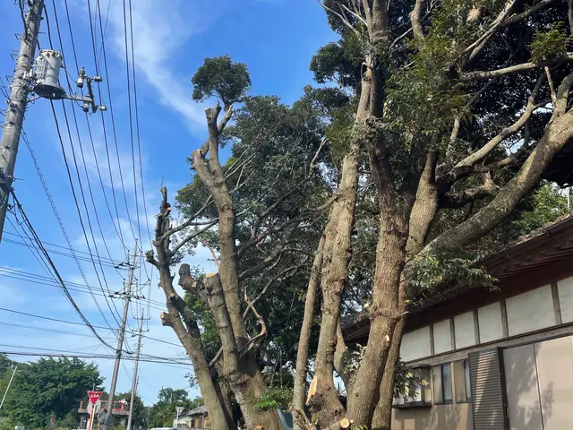 【業歴30年の実績】年中無休◎女性スタッフ同行可◎駐車場代当店負担サービスの画像