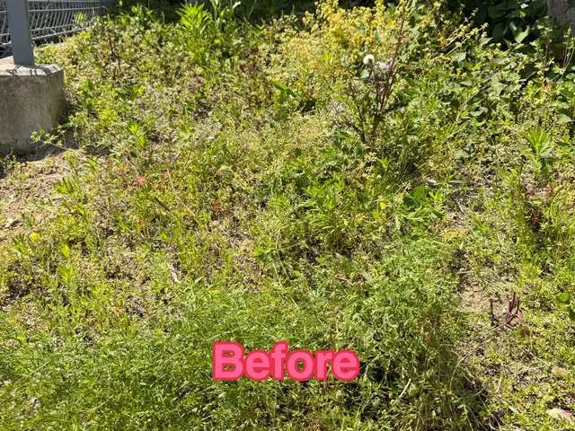 【1時間以内に必ず返信！】プロにお任せ！手作業で丁寧・安心の仕上がり！サービスの画像