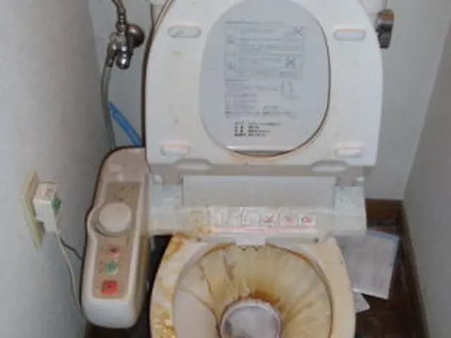 トイレ内一式のクリーニング（消臭処理）【カードＯＫ】サービスの画像