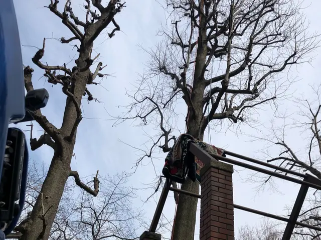 【業界一筋！！】お庭がきれいだと気持ちも明るくなりませんか？サービスの画像