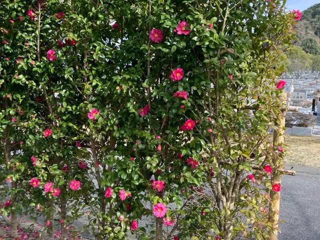 お客様のお力になります！経験と知識を活かして迅速丁寧に作業いたしますサービスの画像