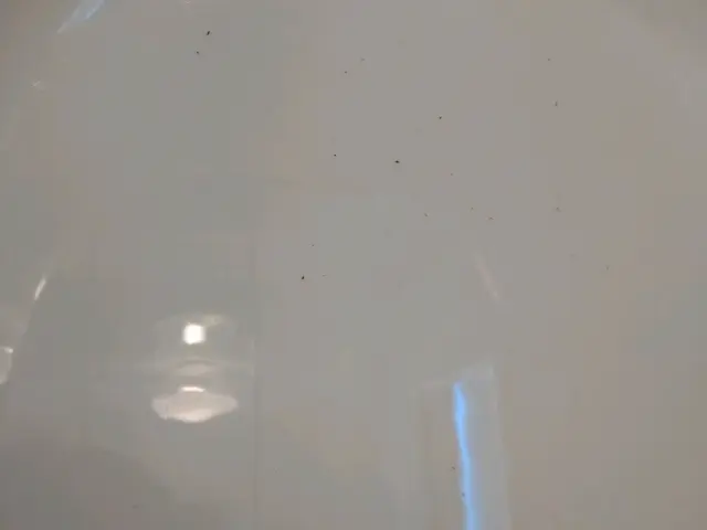 ◎業務用洗剤+マイクロバブルのW洗浄◎カードOK◎浴室クリーニングも対応してますサービスの画像