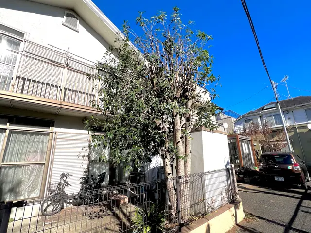 【庭木の冬季剪定】◎木漏れ日さし込む木のぬくもり空間を◎荒れたお庭もスッキリ!!サービスの画像