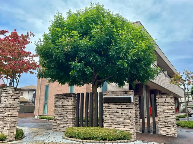 【庭木の冬季剪定】◎木漏れ日さし込む木のぬくもり空間を◎荒れたお庭もスッキリ!!サービスの画像