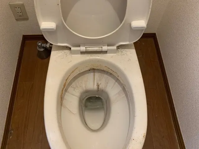 【水廻り専門店だから安心】【三多摩発】【1ヶ月間だけ最安値で提供】【最短当日可】サービスの画像