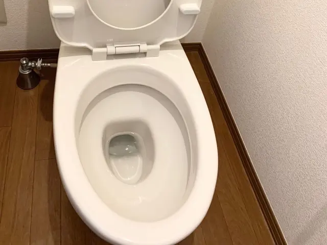 【水廻り専門店だから安心】【三多摩発】【1ヶ月間だけ最安値で提供】【最短当日可】サービスの画像