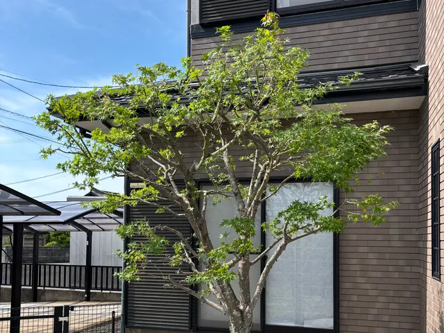 店長が直接訪問！女性スタッフ同行・保険加入済みで安心の庭づくりをお届けしますサービスの画像