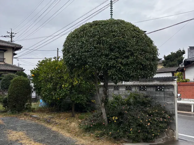 店長が直接訪問！女性スタッフ同行・保険加入済みで安心の庭づくりをお届けしますサービスの画像