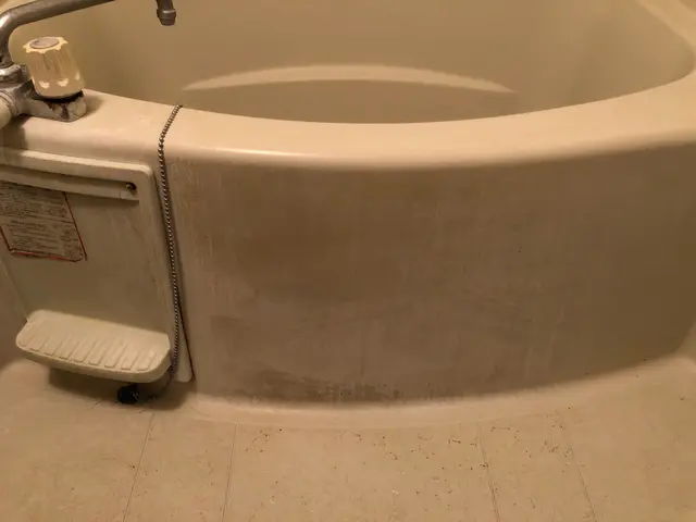 【損害保険加入済】水回りの輝きで魅せる魔法！ご体感ください。サービスの画像