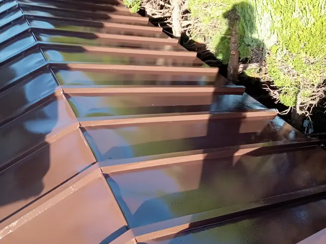 お屋根のカビ・汚れ・めくれが気になったらぜひ当社まで！サービスの画像