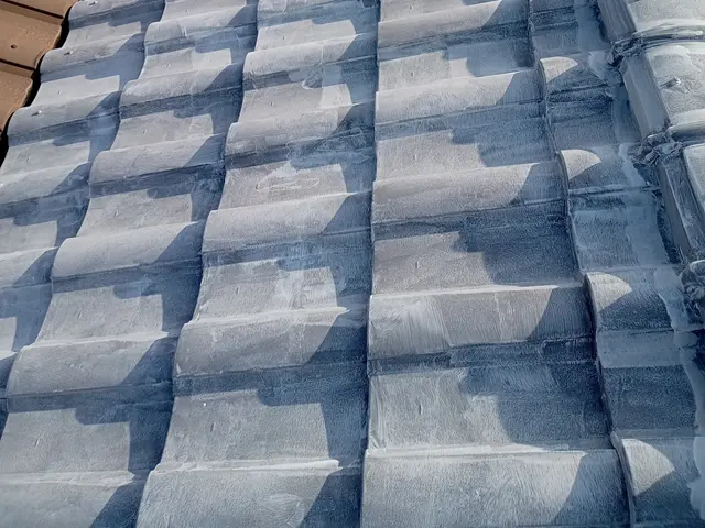 お屋根のカビ・汚れ・めくれが気になったらぜひ当社まで！サービスの画像