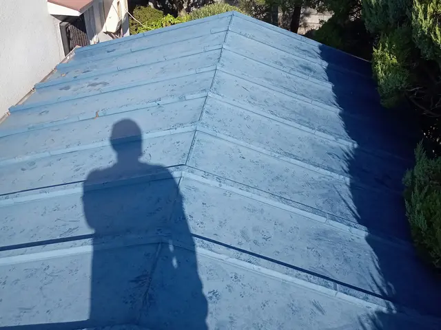 お屋根のカビ・汚れ・めくれが気になったらぜひ当社まで！サービスの画像