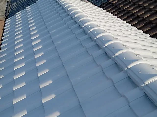 お屋根のカビ・汚れ・めくれが気になったらぜひ当社まで！サービスの画像