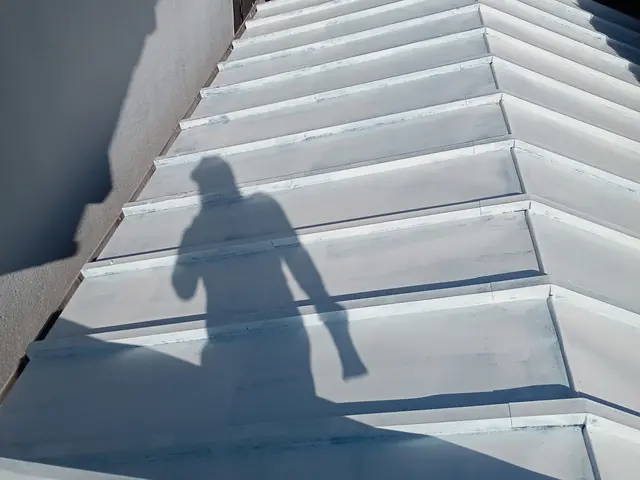 お屋根のカビ・汚れ・めくれが気になったらぜひ当社まで！サービスの画像