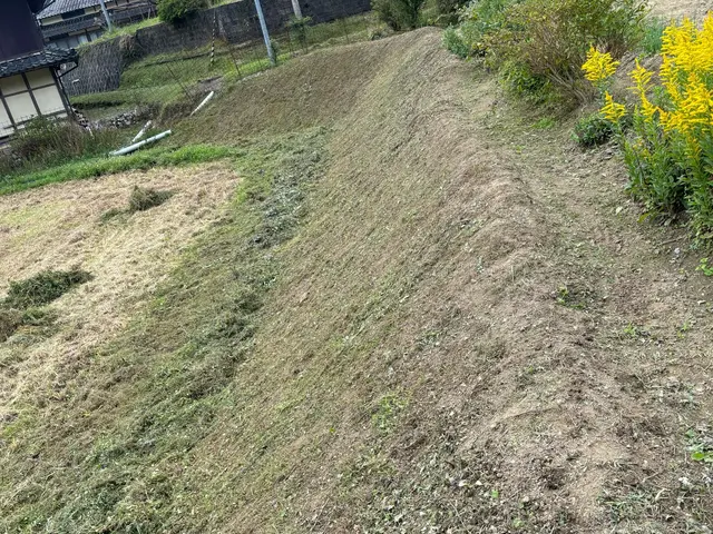 刈り残しの無いように丁寧な作業で対応致します。サービスの画像