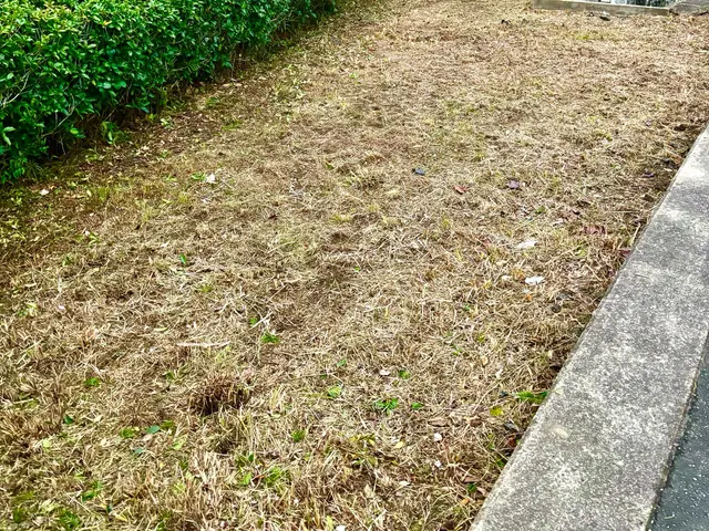 刈り残しの無いように丁寧な作業で対応致します。サービスの画像