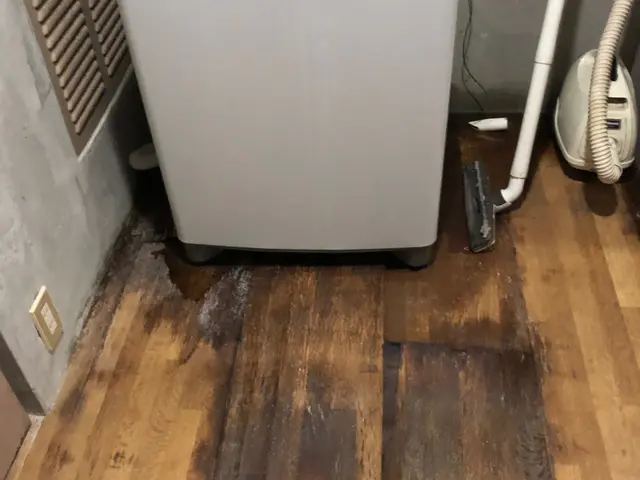 フローリング張り替え、及び重ね貼りサービスの画像