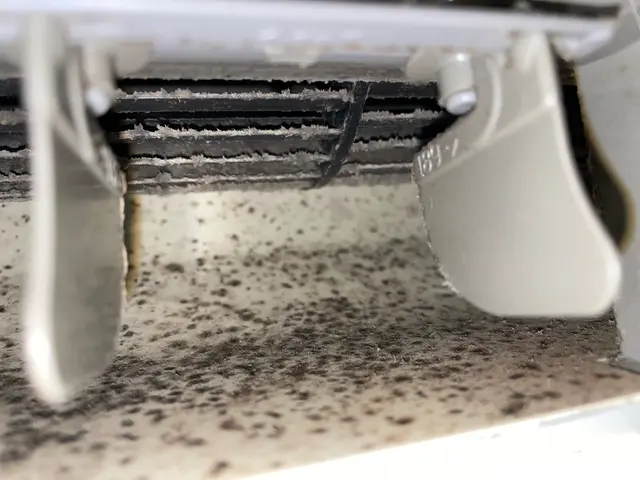 【黒い水では終わりません】非喫煙者◎身嗜み・清潔感◎丁寧・迅速・確実がモットー✮サービスの画像