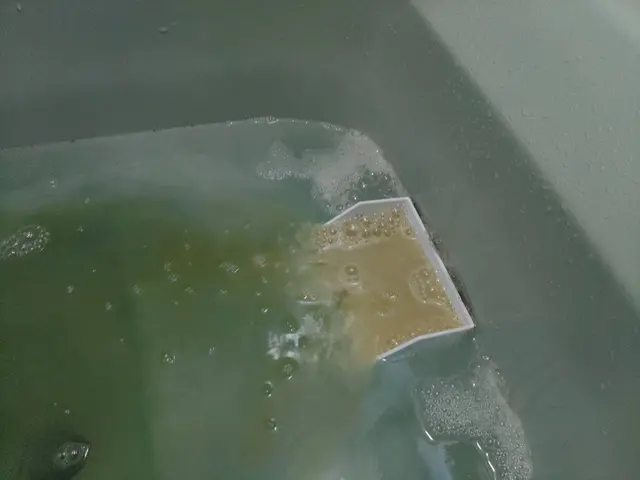 ただいま新年お掃除キャンペーン中です！！是非お得な時にご利用くださいサービスの画像