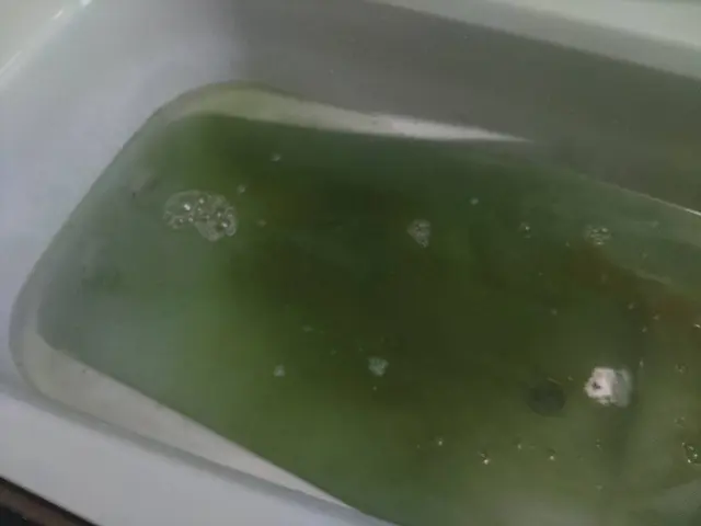 ただいま新年お掃除キャンペーン中です！！是非お得な時にご利用くださいサービスの画像